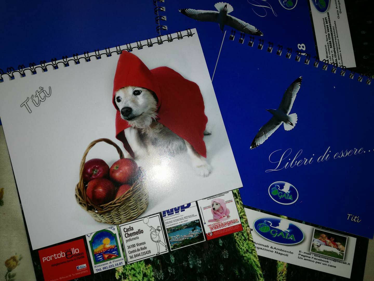 11. calendario gaia napoli 25139197_901546103328864_206471615_o